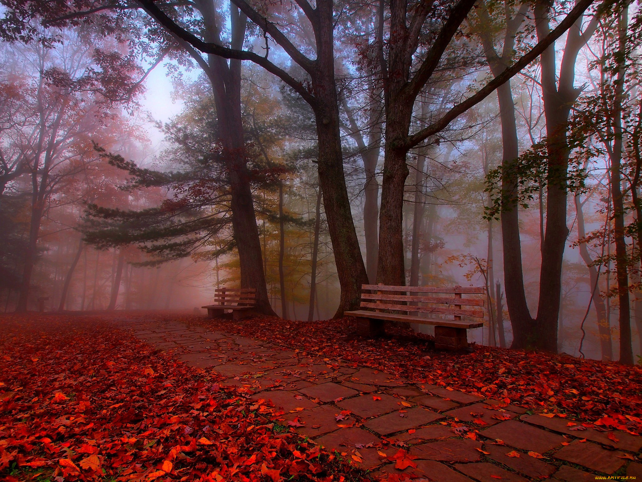 , , , , bench, nature, hdr, walk, autumn, colors, road, grass, park, trees, leaves, , , , , 